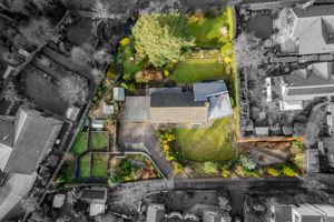 Generous Plot- click for photo gallery